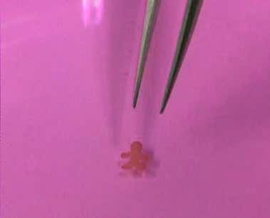 The figure is moved using forceps. The team that developed the new technique say it is possible to make all kinds of shapes, and even to build organ-mimicking structures with many different cell types