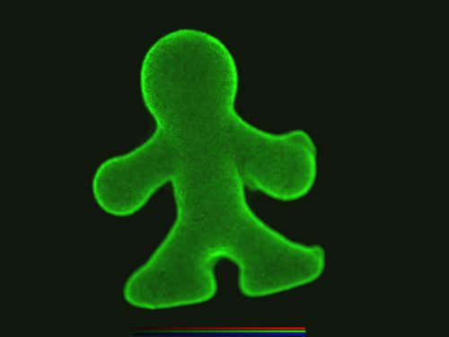 New Scientist. Science news and long reads from expert journalists, covering developments in science, technology, health and the environment on the website and the magazine.