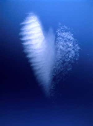 Valentine's day gallery: Love is in the air