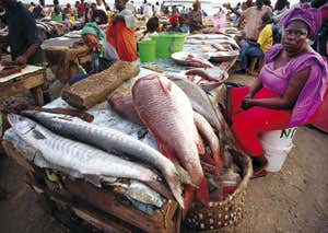 New Scientist. Science news and long reads from expert journalists, covering developments in science, technology, health and the environment on the website and the magazine.