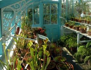 Darwin 200: Planting the seeds of an idea