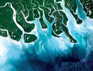 New Scientist. Science news and long reads from expert journalists, covering developments in science, technology, health and the environment on the website and the magazine.