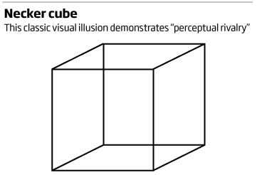 Necker cube