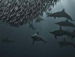 New Scientist. Science news and long reads from expert journalists, covering developments in science, technology, health and the environment on the website and the magazine.