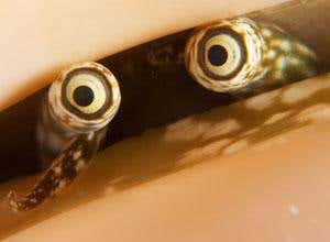 Photography: Life and death beneath the waves