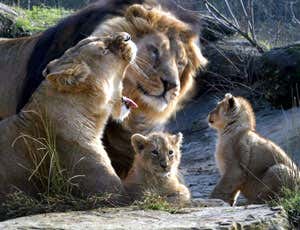 New Scientist. Science news and long reads from expert journalists, covering developments in science, technology, health and the environment on the website and the magazine.