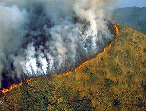 New Scientist. Science news and long reads from expert journalists, covering developments in science, technology, health and the environment on the website and the magazine.