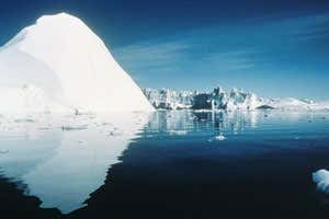 New Scientist. Science news and long reads from expert journalists, covering developments in science, technology, health and the environment on the website and the magazine.