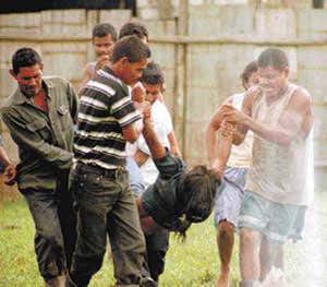 New Scientist. Science news and long reads from expert journalists, covering developments in science, technology, health and the environment on the website and the magazine.