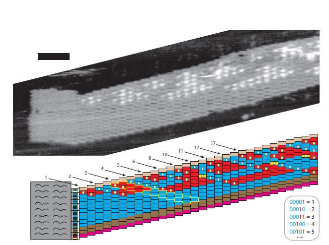 New Scientist. Science news and long reads from expert journalists, covering developments in science, technology, health and the environment on the website and the magazine.