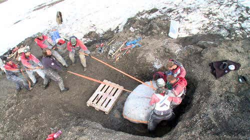 The team struggles to haul the plaster-encased skull from its resting place (Illustration: Naturhistorisk Museum)