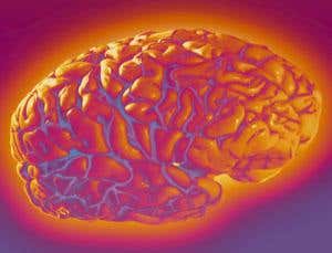 What is economics? Modern approaches