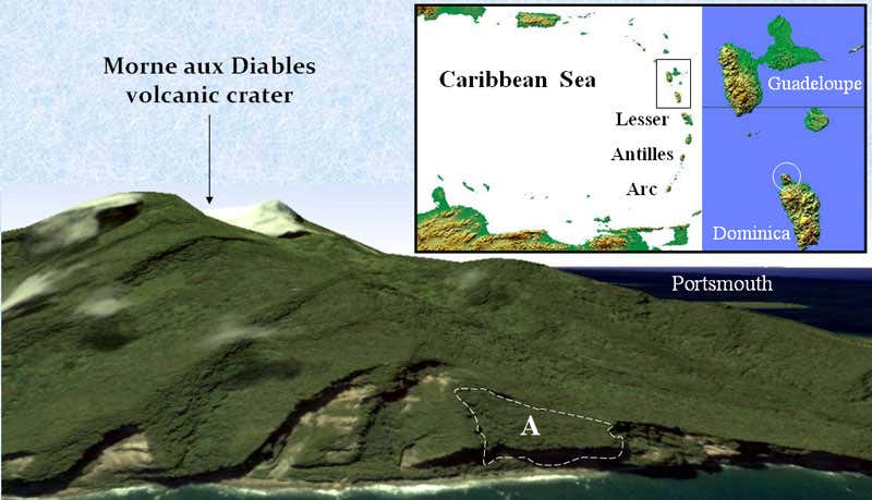 New Scientist. Science news and long reads from expert journalists, covering developments in science, technology, health and the environment on the website and the magazine.