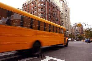 City dwellers 'harm climate less'