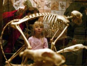 Texas vote leaves loopholes for teaching creationism