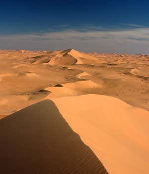 New Scientist. Science news and long reads from expert journalists, covering developments in science, technology, health and the environment on the website and the magazine.