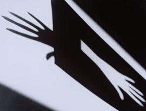 New Scientist. Science news and long reads from expert journalists, covering developments in science, technology, health and the environment on the website and the magazine.