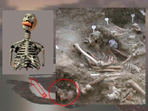 The dig site reveals a mass grave with the 