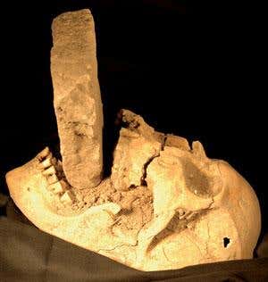 New Scientist. Science news and long reads from expert journalists, covering developments in science, technology, health and the environment on the website and the magazine.