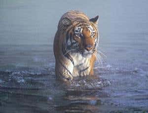 Solar power schemes could protect nature reserves