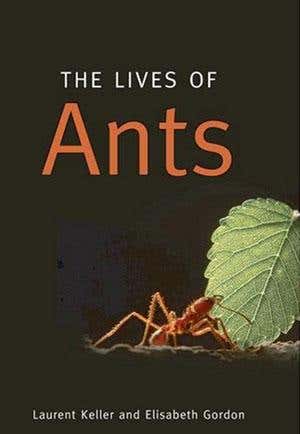 Review: <i>The Lives of Ants</i> by Laurent Keller and Elisabeth Gordon