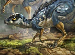Were all dinosaurs beasts of a feather?