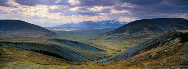 New Scientist. Science news and long reads from expert journalists, covering developments in science, technology, health and the environment on the website and the magazine.