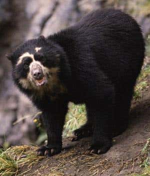 New Scientist. Science news and long reads from expert journalists, covering developments in science, technology, health and the environment on the website and the magazine.