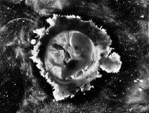 How the hidden contents of the womb became visible