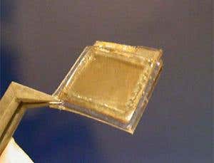 Yeast-powered fuel cell feeds on human blood