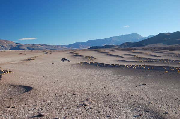 New Scientist. Science news and long reads from expert journalists, covering developments in science, technology, health and the environment on the website and the magazine.