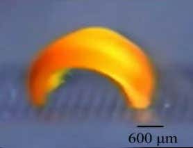 Chemical 'caterpillar' points to electronics-free robots