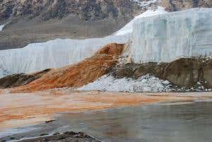 New Scientist. Science news and long reads from expert journalists, covering developments in science, technology, health and the environment on the website and the magazine.