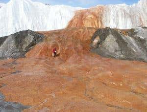 Analysing DNA fragments from the