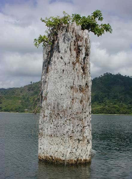 New Scientist. Science news and long reads from expert journalists, covering developments in science, technology, health and the environment on the website and the magazine.