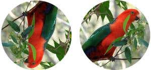 Innovation: Harnessing spammers to advance AI