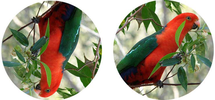 New Scientist. Science news and long reads from expert journalists, covering developments in science, technology, health and the environment on the website and the magazine.