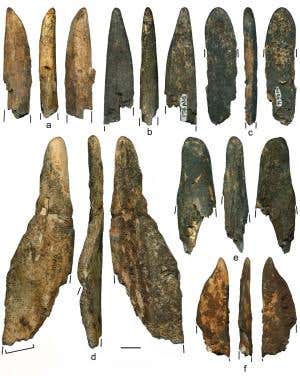 Ancestors may have used bone tools to make smoothies