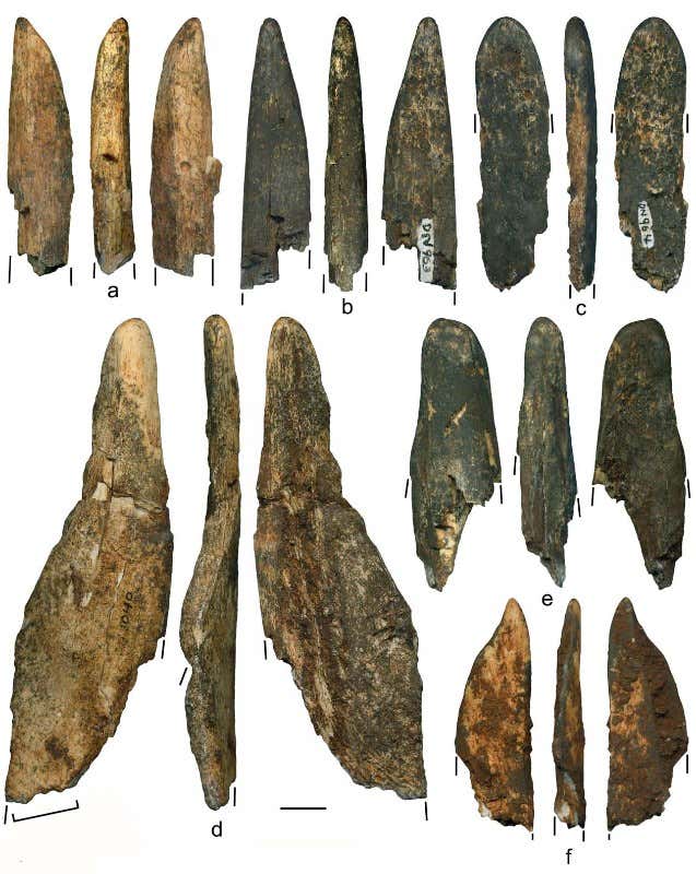 New Scientist. Science news and long reads from expert journalists, covering developments in science, technology, health and the environment on the website and the magazine.