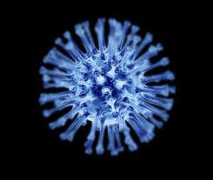 New Scientist. Science news and long reads from expert journalists, covering developments in science, technology, health and the environment on the website and the magazine.