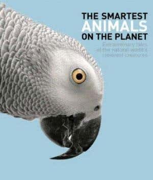 New Scientist. Science news and long reads from expert journalists, covering developments in science, technology, health and the environment on the website and the magazine.