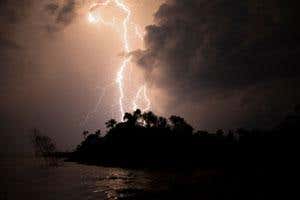 New Scientist. Science news and long reads from expert journalists, covering developments in science, technology, health and the environment on the website and the magazine.