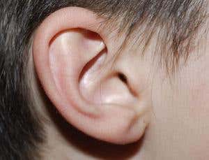 Echo vision: The man who sees with sound