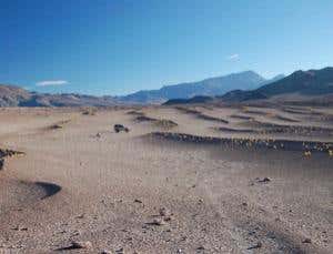 New Scientist. Science news and long reads from expert journalists, covering developments in science, technology, health and the environment on the website and the magazine.