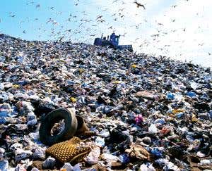 Could your trashcan solve the energy crisis?