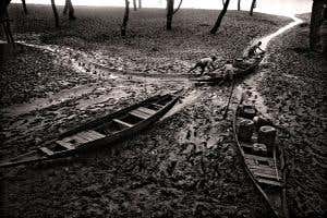 Bangladesh: In search of fresh water