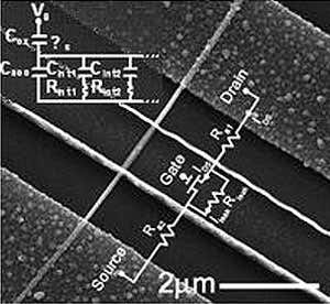Nanowire network measures cells' electrical signals