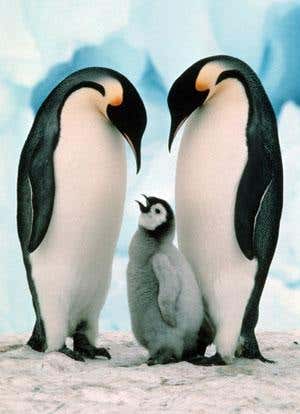 New Scientist. Science news and long reads from expert journalists, covering developments in science, technology, health and the environment on the website and the magazine.