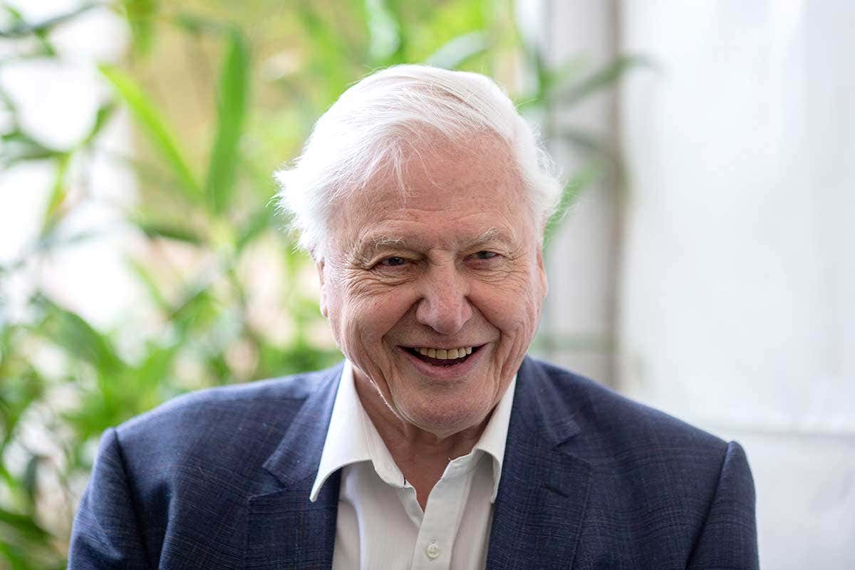 David Attenborough