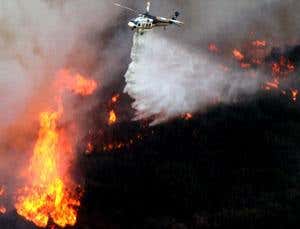 Warning over DNA damage from forest fires